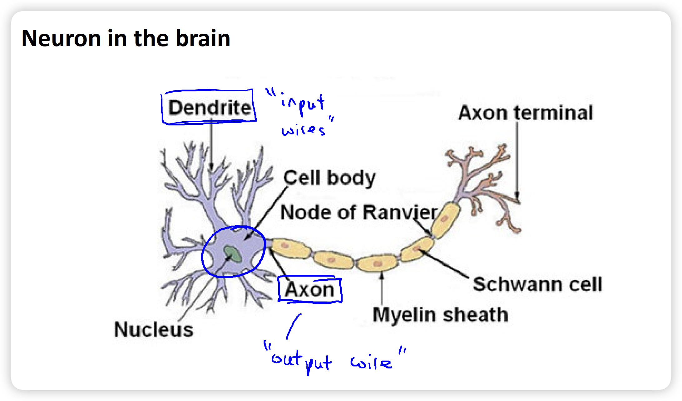 image-20240105004502888